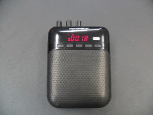 Monoprice 611700 portable amp with micro SD mp3 player.