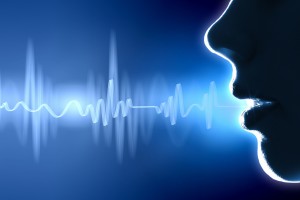 Electronic Voice Image