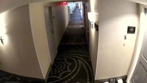 Arlo hallway camera view