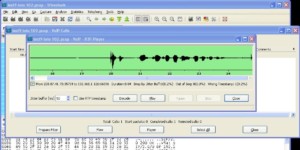 Wireshark used for wiretapping VOIP calls.